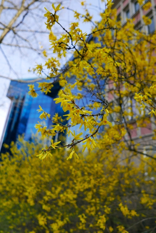 Budynek Biblioteki UŁ