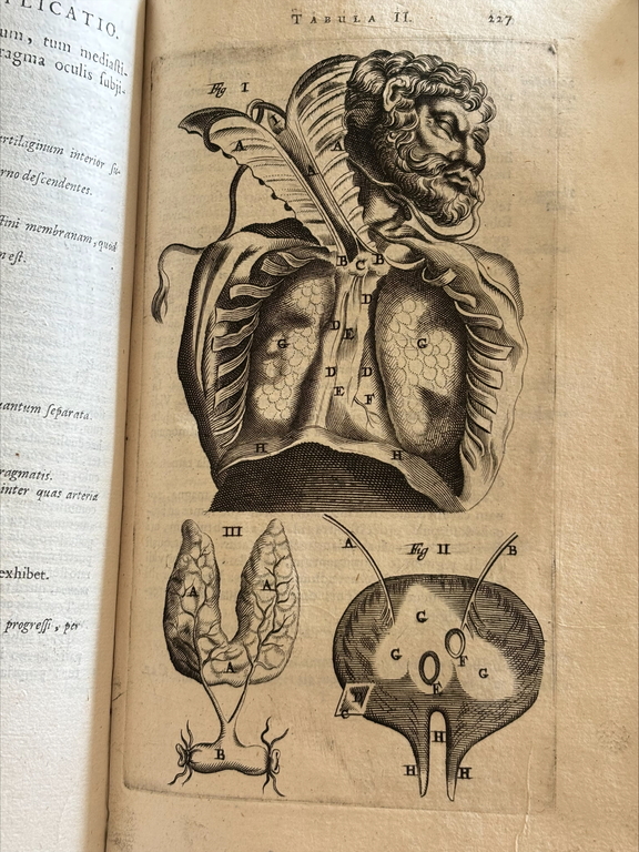Karta ze starego atlasu anatomicznego, rycina przedstawia przekrój klatki piersiowej.