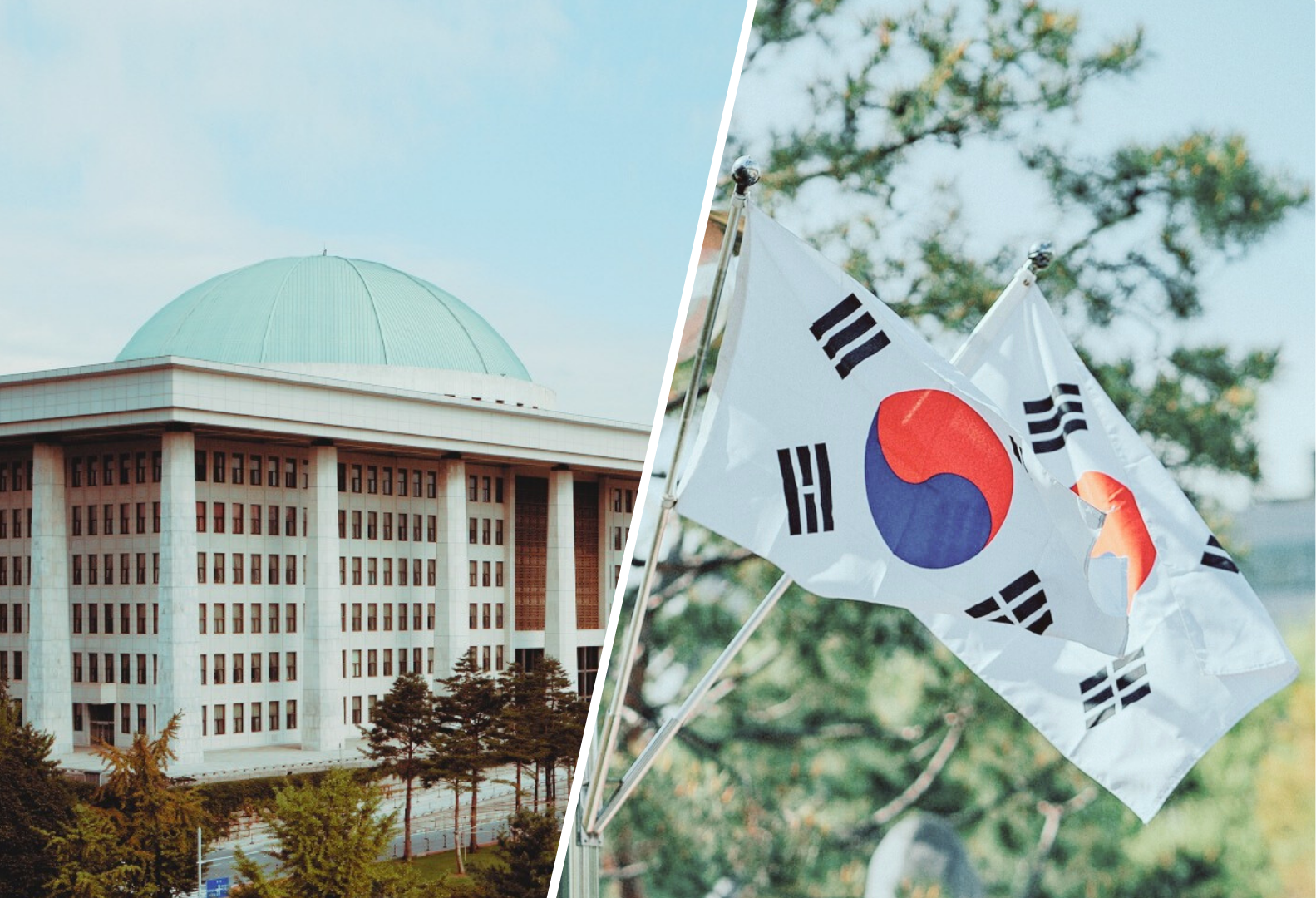 po lewej biały duży budynek rządowy w Korei Południowej z dużą białą kopułą, po prawej dwie flagi Korei Południowej powiewające na wietrze na tle zielonych liści drzew i błękitnego nieba.