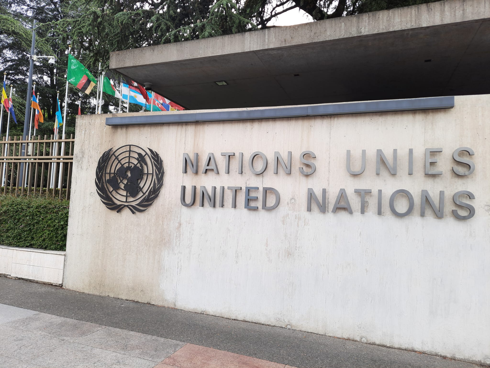 Zbliżenie na betonową ścianę z logo i napisem „Nations Unies – United Nations” przy wejściu do siedziby ONZ w Genewie, z widocznymi flagami państw członkowskich.