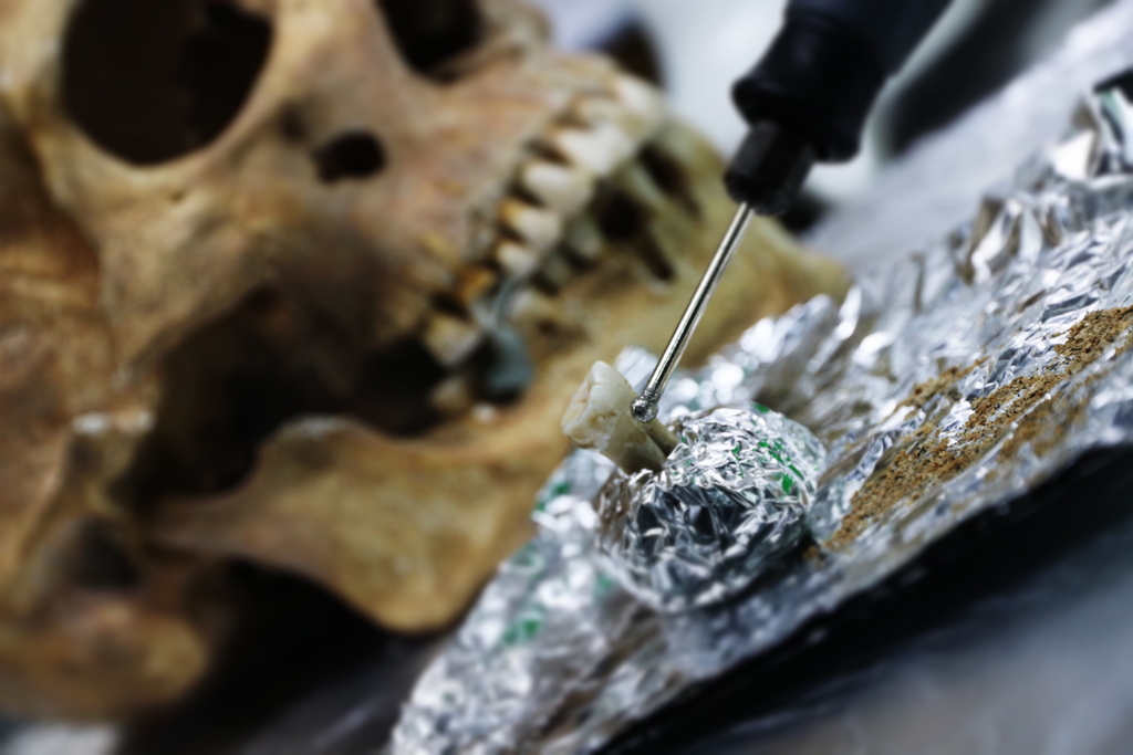 Wikingowie z Lutomierska - grafika