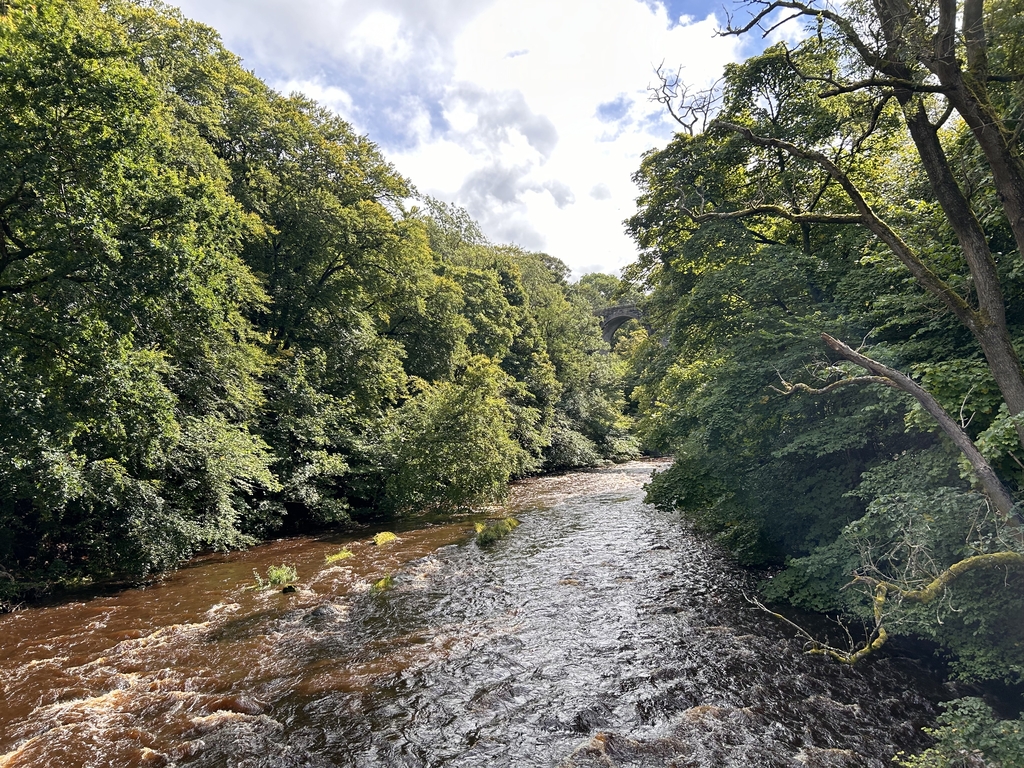 Seminarium - Zarządzanie zasobami wodnymi: Zdjęcie rzeki
