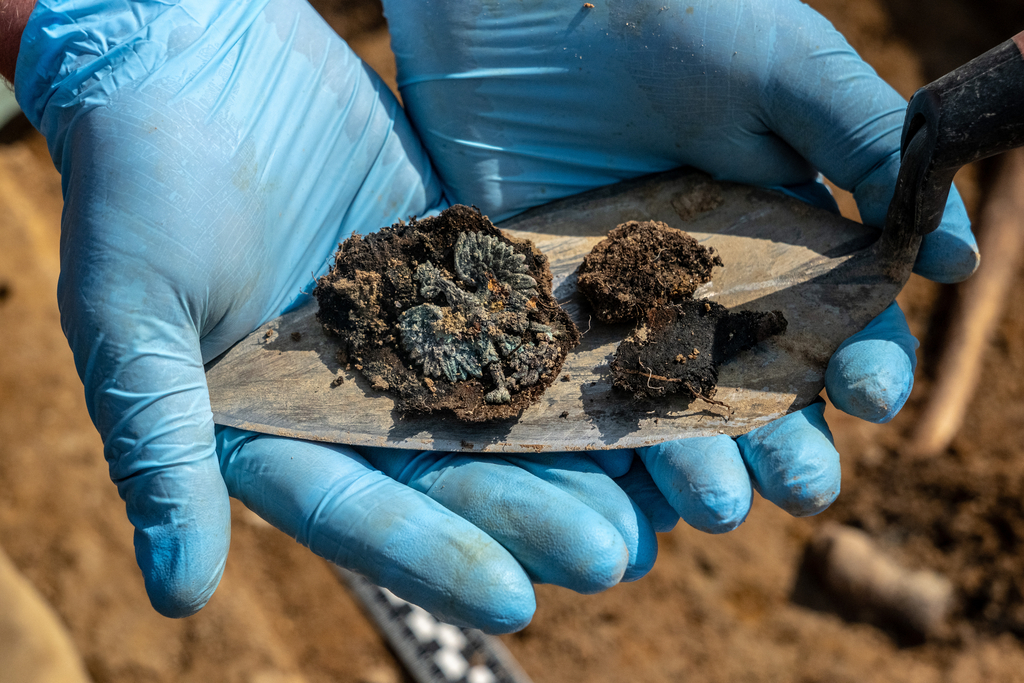 Orzełek z czapki urzędniczej odnaleziony w grobie masowym w Dolinie Śmierci (fot. D. Frymark)