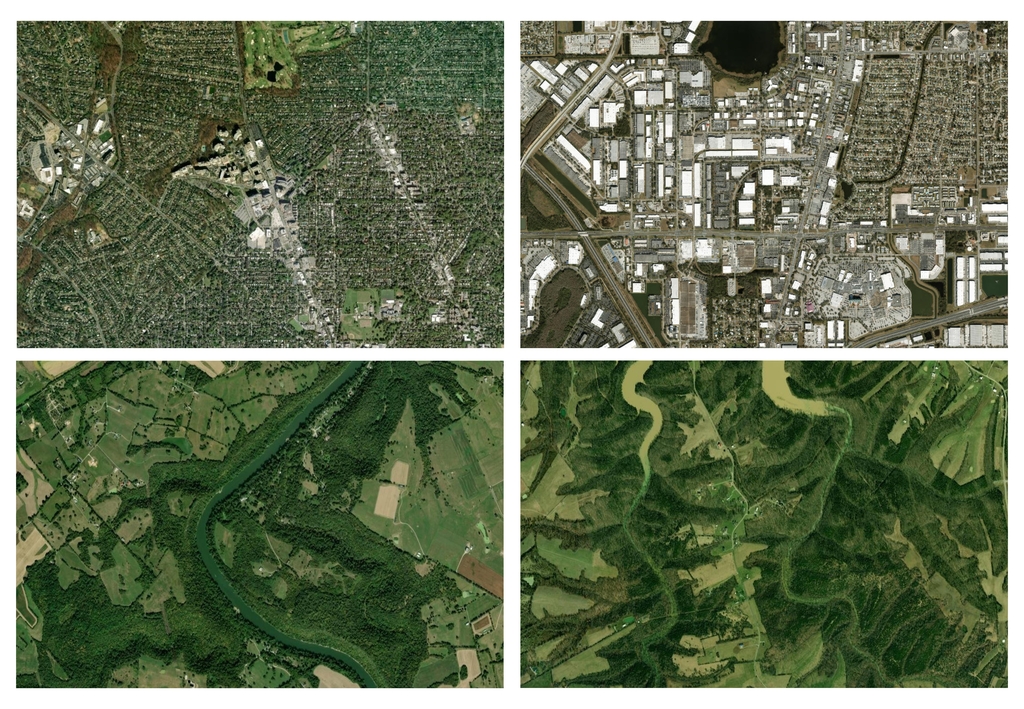 Early-life exposure to residential greenness and risk of asthma in a U.S. bronchiolitis cohort