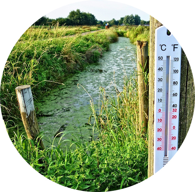 Changes in the thermal regime of rivers with different sizes and levels of human impact based on daily data (1961-2020)