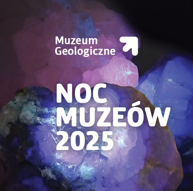 Noc Muzeów