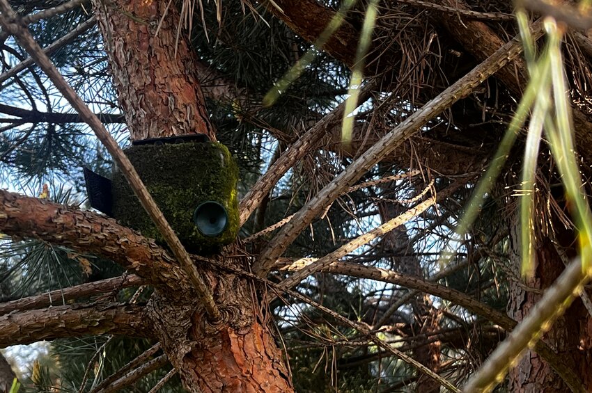 W poszukiwaniu dźwięku środkowej Polski