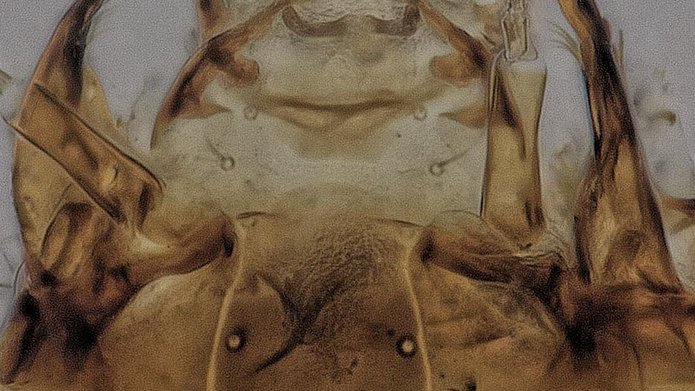 spotkanie warsztatowe, które zgromadziło przedstawicieli firmy KEYENCE