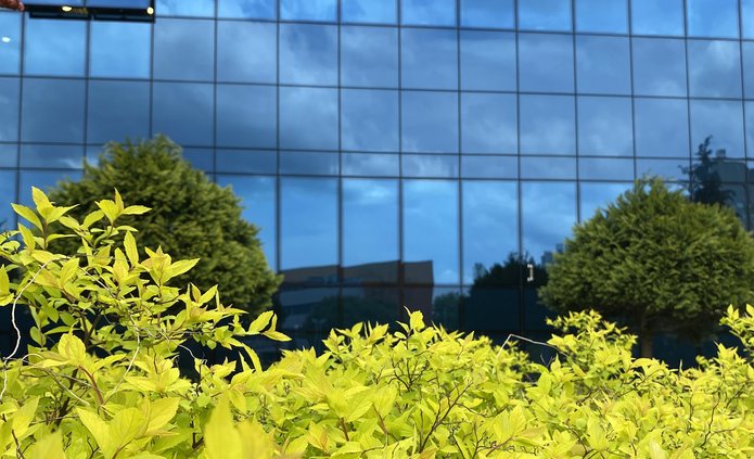 Szklana fasada Biblioteki UŁ, na pierwszym planie kwitnące krzewy.