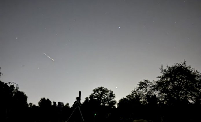 Nocne niebo nad Ogrodem Botanicznym, usiane gwiazdami. W lewej części nieba widoczna jest jasna, krótka smuga meteoru – Perseidy. Na dole zdjęcia, na ciemnej polanie, widać sylwetki osób leżących na kocach oraz teleskop ustawiony na statywie. W tle znajdują się ciemne sylwetki drzew.