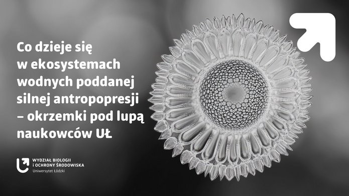 Grafika