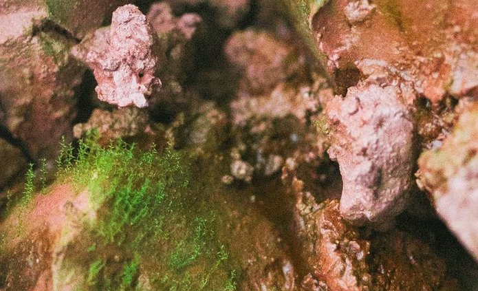 zdjęcie Jerzego Wypycha