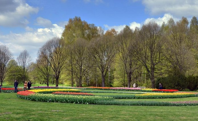 Zdjęcie Ogrodu Botanicznego