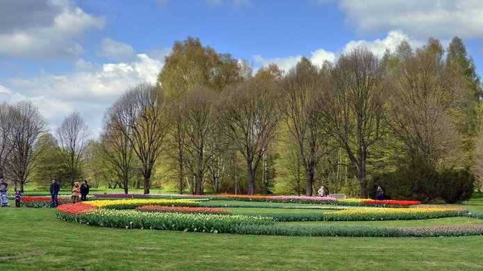 Zdjęcie Ogrodu Botanicznego