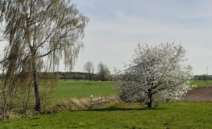 Spotkanie z geografią na WNG UŁ”. W lutym będzie ono poświęcone krajobrazom Polski. Krajobraz jako obszar współżycia człowieka z przyrodą zostanie przedstawiony przez Panią prof. Elżbieta Kobojek.