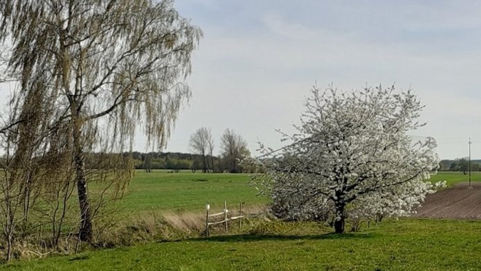 Spotkanie z geografią na WNG UŁ”. W lutym będzie ono poświęcone krajobrazom Polski. Krajobraz jako obszar współżycia człowieka z przyrodą zostanie przedstawiony przez Panią prof. Elżbieta Kobojek.