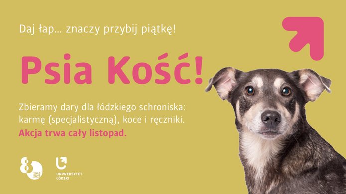 Czarno biały pies na żóltym tle i napis: Psoa kość! Zbieramy dary dla łódzkiego schroniska: karmę (specjalistyczną), koce i ręczniki. Akcja trwa cały listopad.
