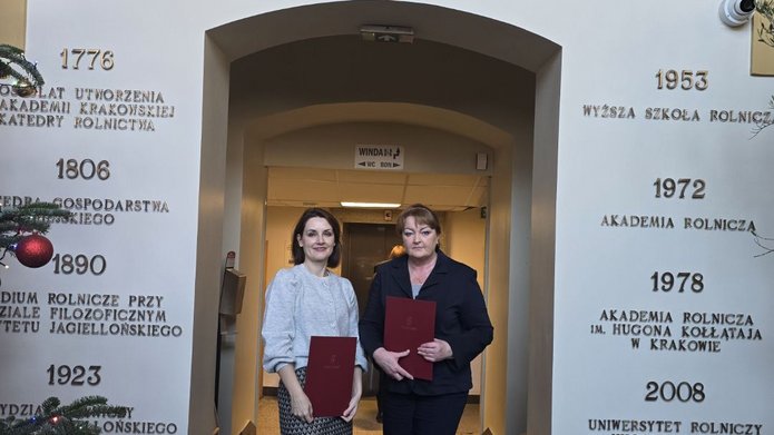 współpraca CEIN
