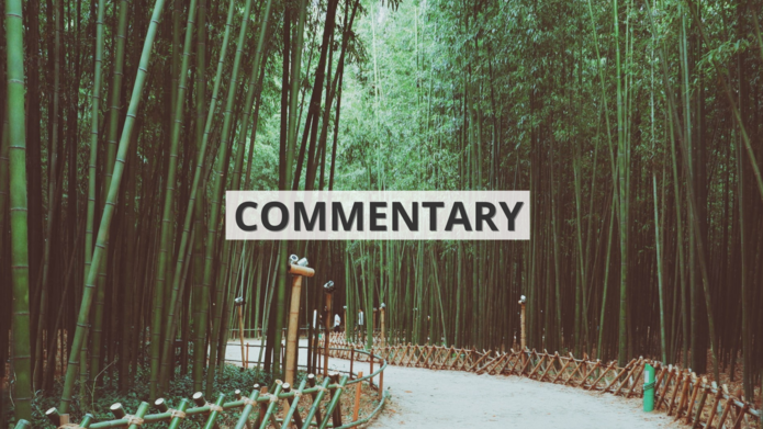 Bambusowy las ze ścieżką z napisem ‘commentary’ / Bamboo forest with a path with the inscription 'commentary'