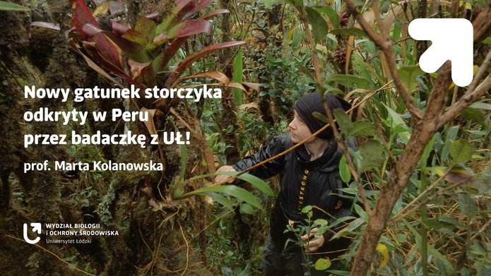 Grafika do tekstu
