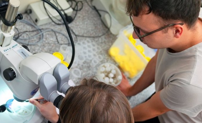 Nowe gatunki muchówek