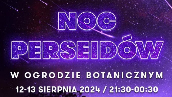 Grafika Noc Perseidów