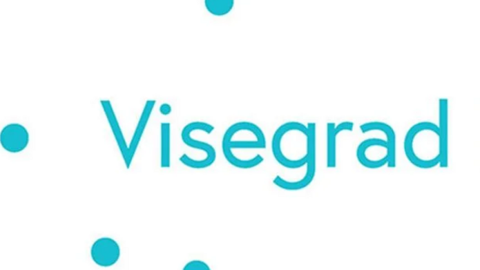 Visegrad logo