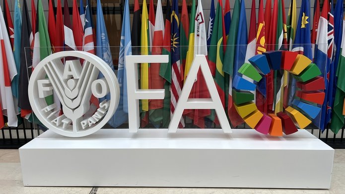 Miniatura logo FAO na tle państw członkowskich w siedzibie FAO w Rzymie