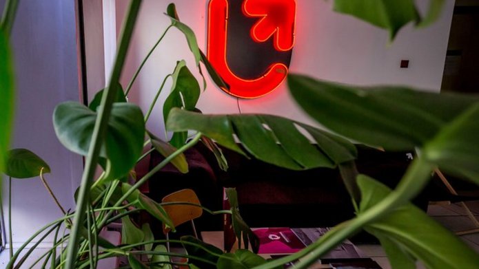 Zdjęcie przedstawia pomieszczenie z neonem z logo UŁ i roślinami doniczkowymi 