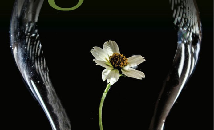 okładka ŁSE tom 63