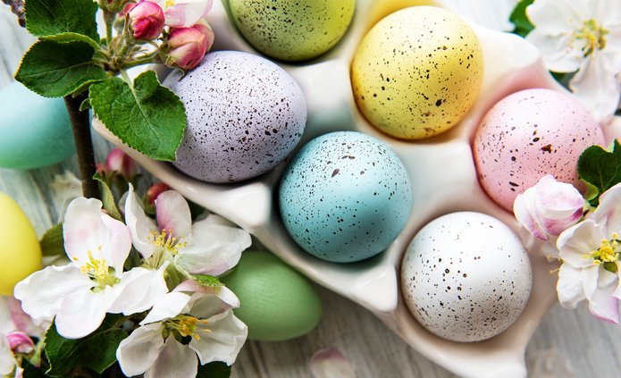 zdjęcie różnokolorowych jajek wielkanocnych w platonce otoczonych gałązkami kwitnącej wiśni