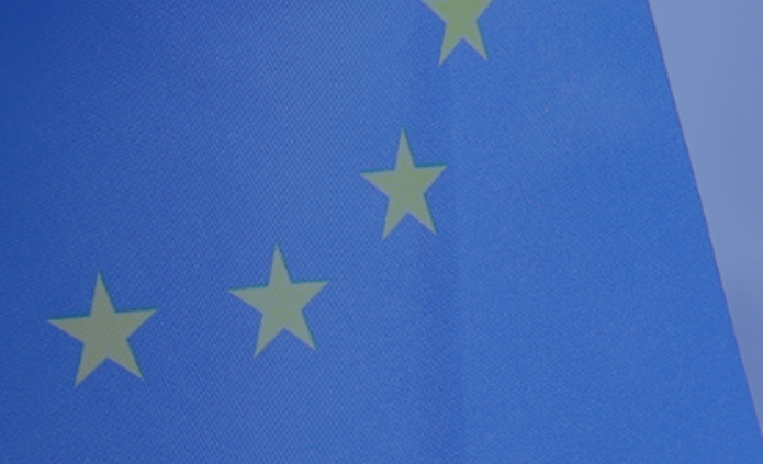 zdjęcie dekoracyjne