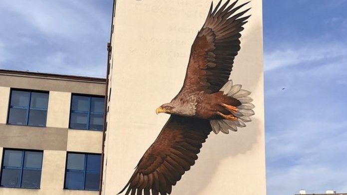 Mural z bielikiem na WNG UŁ