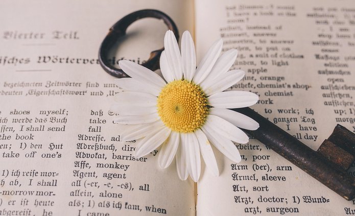 kwiat położony na książce