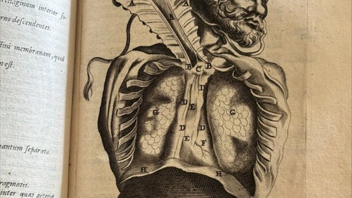 Karta ze starego atlasu anatomicznego, rycina przedstawia przekrój klatki piersiowej.