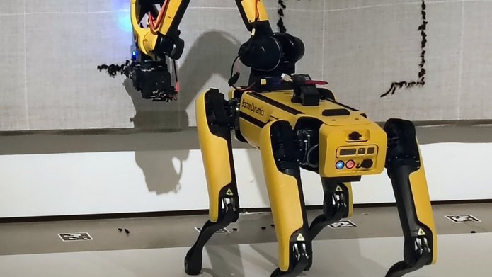 Robot Basia