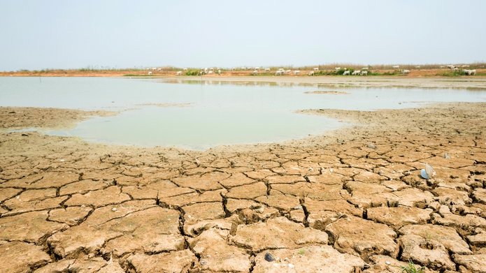 Relationships between springs yield dynamics and hydrological drought development