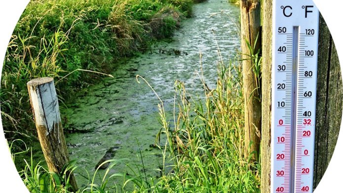 Changes in the thermal regime of rivers with different sizes and levels of human impact based on daily data (1961-2020)