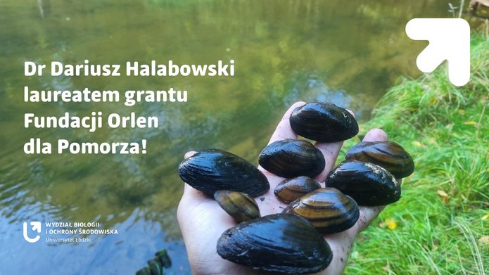 Grafika