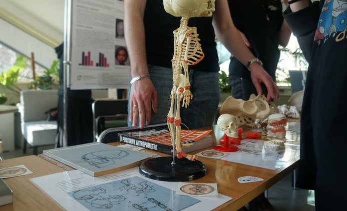 Stół ze szkieletem i kartami