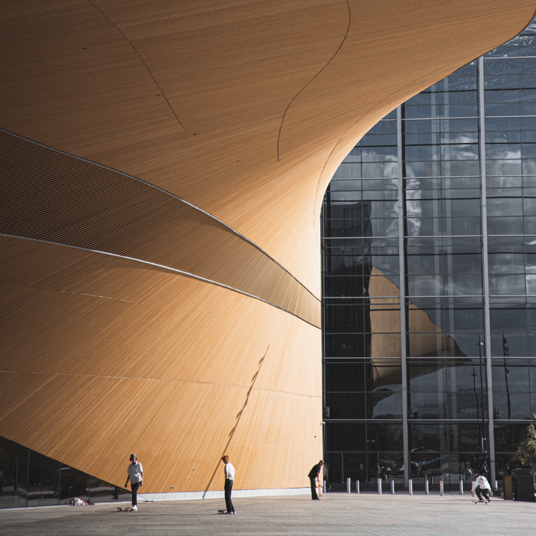 Fragment okładki książki