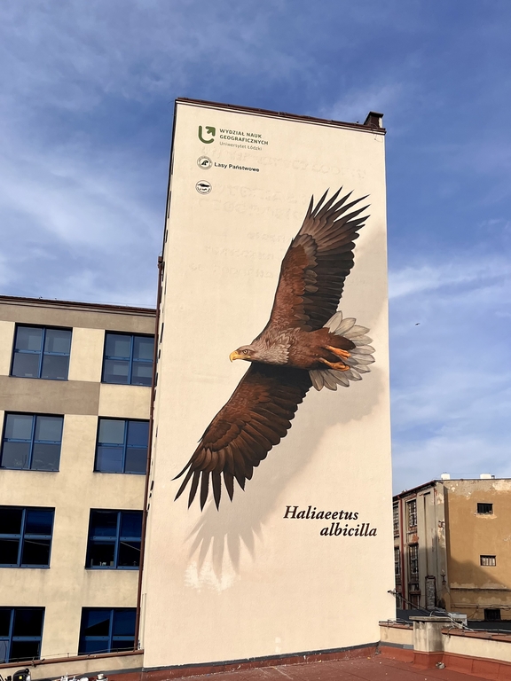 Mural z bielikiem na WNG UŁ