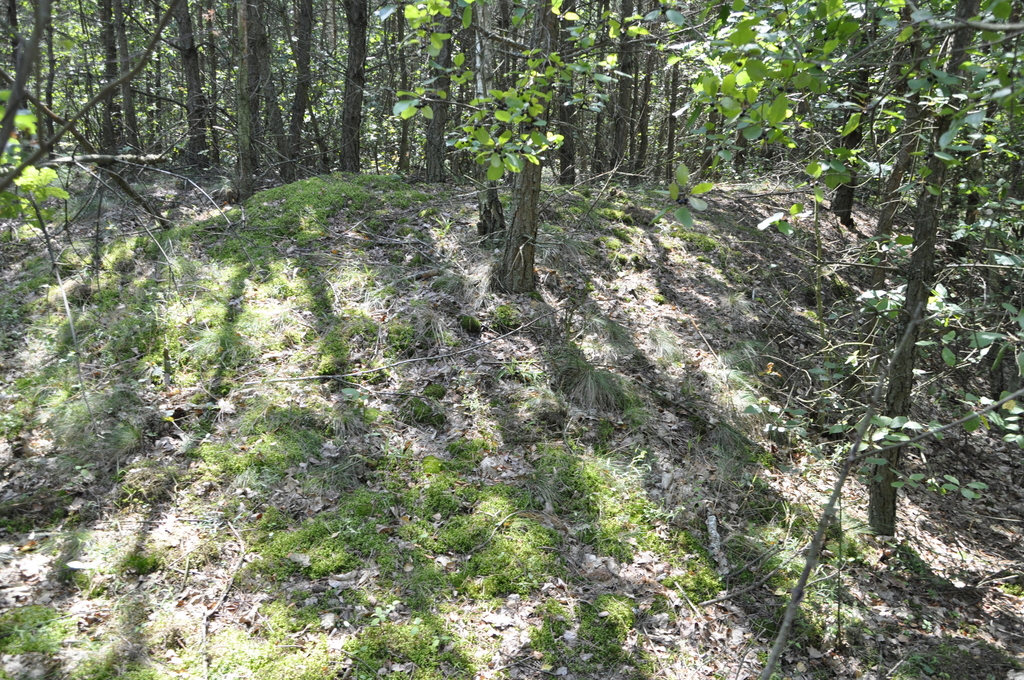 Cmentarze wojenne Wielkiej Wojny