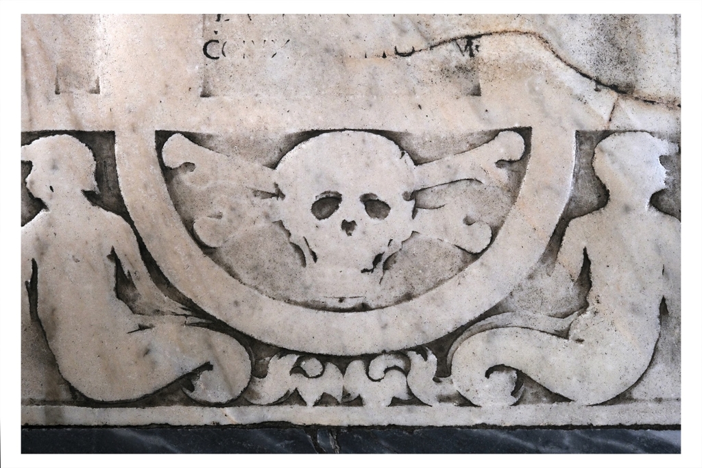 Czaszka, fot. Tomasz Ferenc